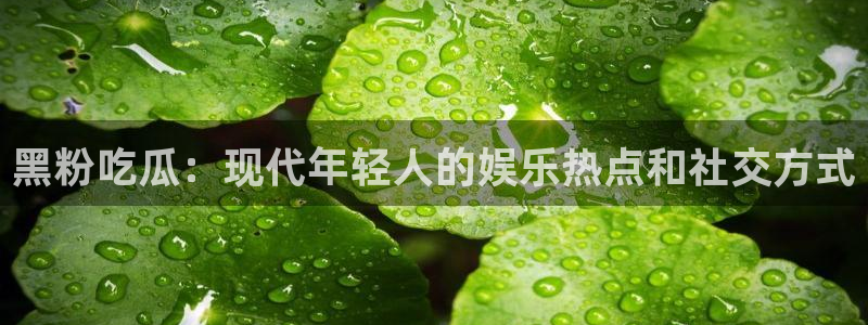 吊瓜树的瓜可以吃吗：黑粉吃瓜：现代年轻人的娱乐热点和社交方式