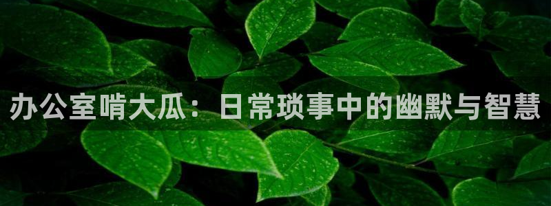 nanataipei51吃瓜：办公室啃大瓜：日常琐事中的幽默与智慧