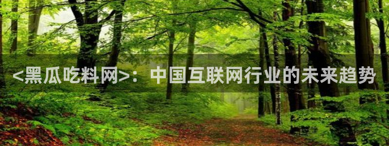 吊瓜树的瓜可以吃吗：<黑瓜吃料网>：中国互联网行业的未来趋势