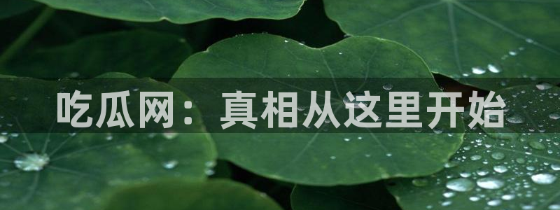 51吃瓜群众路线：吃瓜网：真相从这里开始