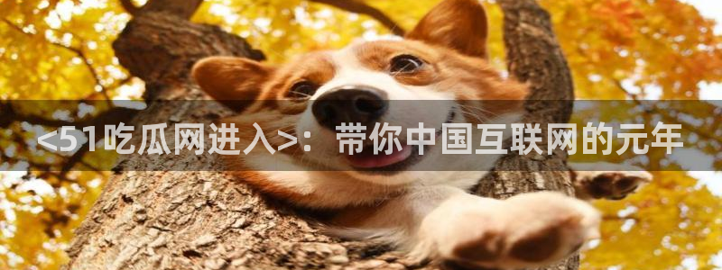 51吃瓜最新官网是多少