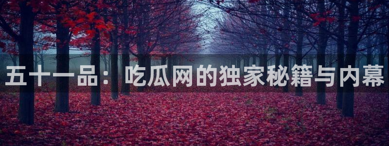51吃瓜网今日榜单:五十一品:吃瓜网的独家秘籍与内幕