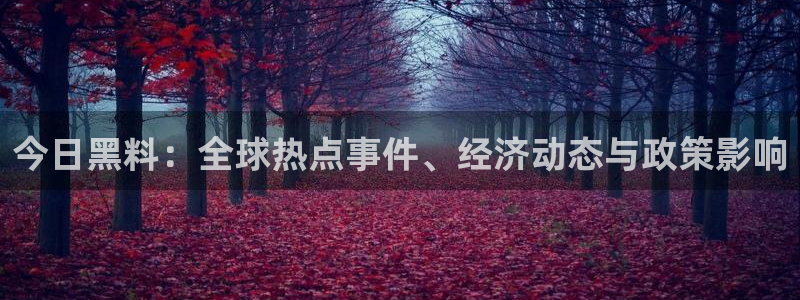 吃瓜新闻:今日黑料:全球热点事件、经济动态与政策影响