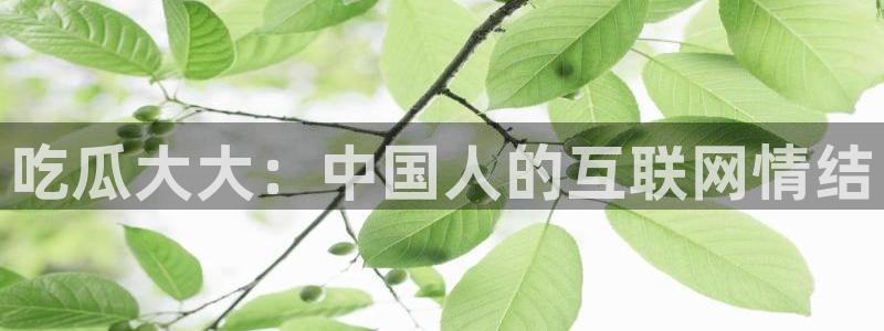 长生武道从九龙夺嫡开始吃瓜：吃瓜大大：中国人的互联网情结