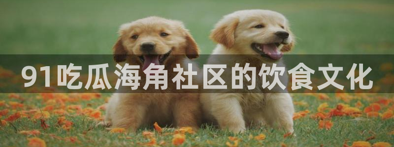 黑料,：91吃瓜海角社区的饮食文化