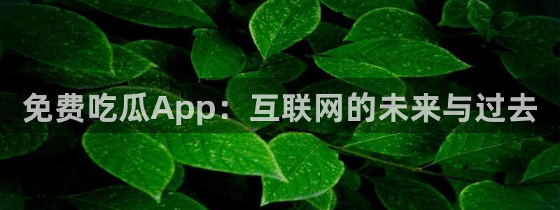 718.sⅹ 吃瓜：免费吃瓜App：互联网的未来与过去
