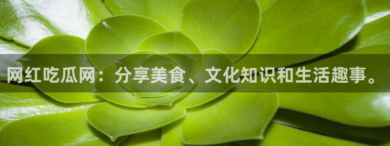 www.吃瓜.com