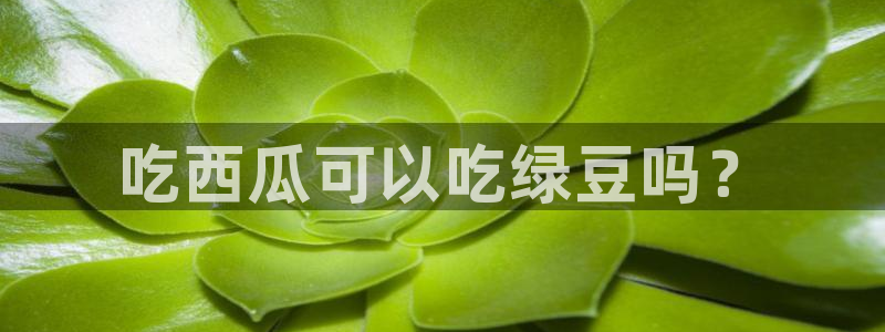 51吃瓜网张津瑜