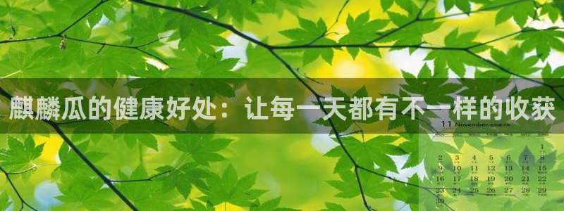 豆瓣自由吃瓜基地