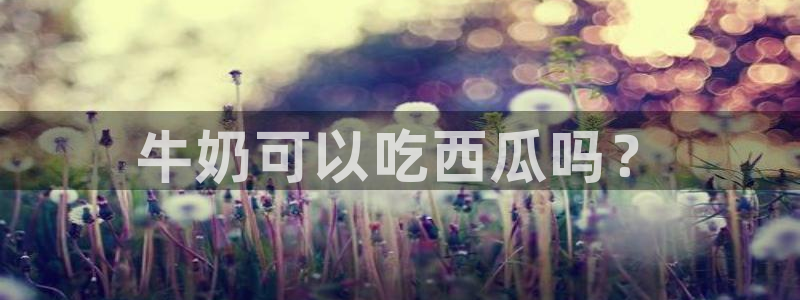 51吃瓜全网最快的吃瓜网站