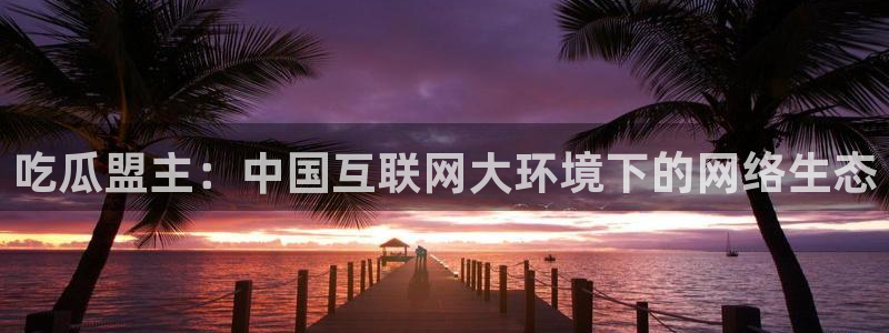 被读心后全员吃瓜吃疯了:吃瓜盟主:中国互联网大环境下的网络生态