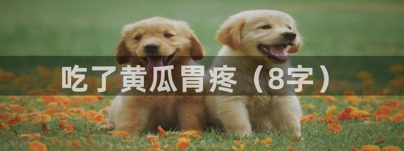 吃瓜新闻:吃了黄瓜胃疼(8字)