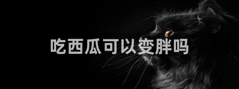 吃瓜最新:吃西瓜可以变胖吗