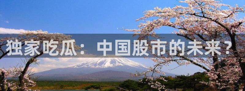 吃瓜吃到自己死讯:独家吃瓜:中国股市的未来?
