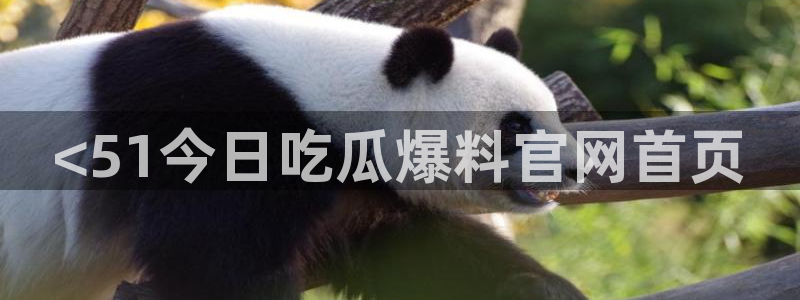 吃瓜去哪个网