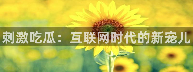 911今日必吃大瓜：刺激吃瓜：互联网时代的新宠儿