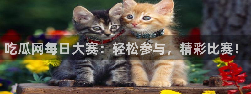 51吃瓜最新吃瓜入口：吃瓜网每日大赛：轻松参与，精彩比赛！