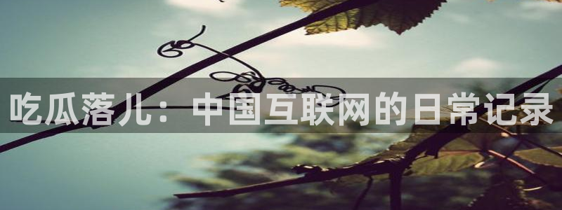 ccgg今日吃瓜：吃瓜落儿：中国互联网的日常记录