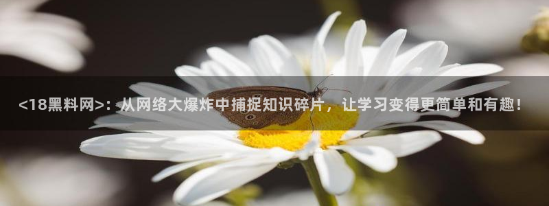 51吃瓜今日吃瓜娜娜：<18黑料网>：从网络大爆炸中捕捉知识碎片，让学习变得更简单和有趣！